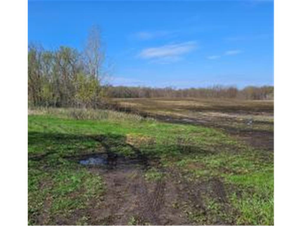 XXX Newton Ave SE Watertown MN 55388 - Crow River 6717632 image7