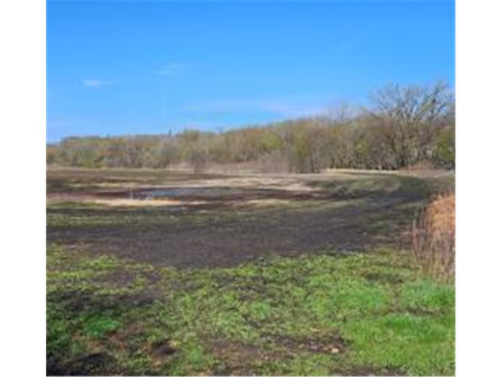 XXX Newton Ave SE Watertown MN 55388 - Crow River 6717632 image8