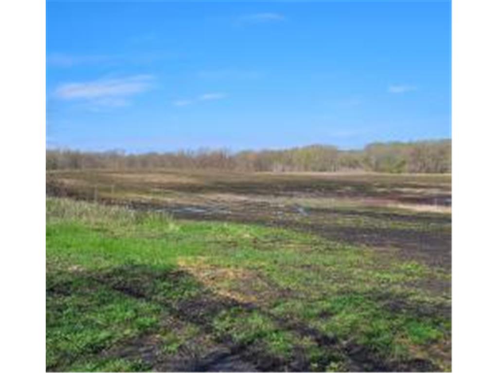 XXX Newton Ave SE Watertown MN 55388 - Crow River 6717632 image9