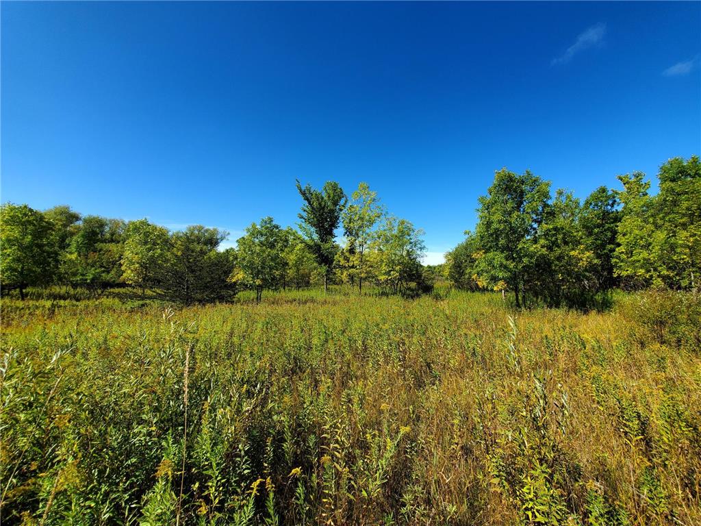 XXX Norman Avenue N Foley MN 56329 - Stony Brook 6433633 image1