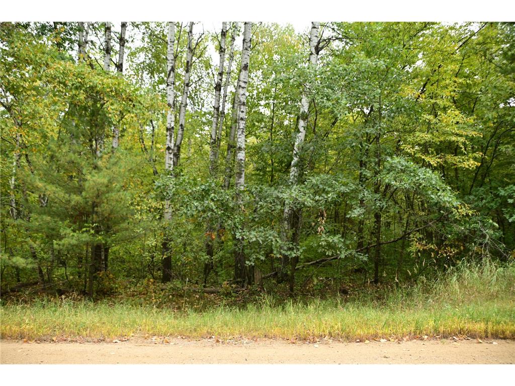 XXX Oak Drive Moran Twp MN 56438 6502122 image1