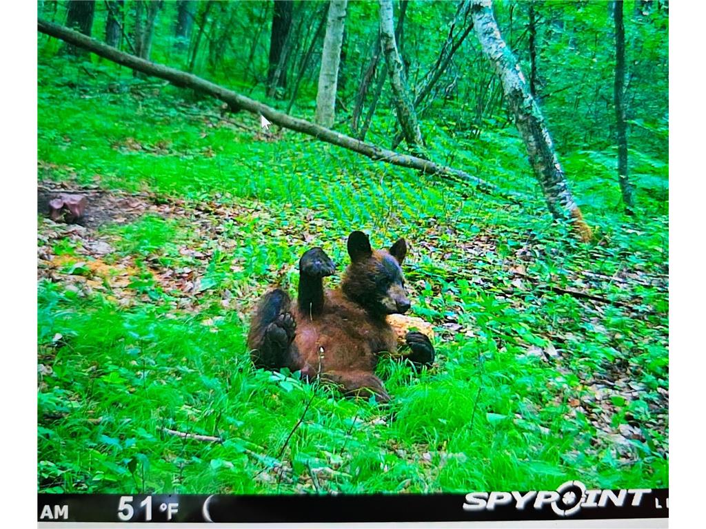 XXX Oak Point Road NW Cass Lake MN 56633 6709306 image1