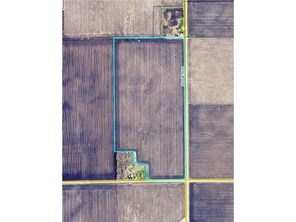 XXX Ocean Avenue Three Lakes Twp MN 56266 6469321 image1