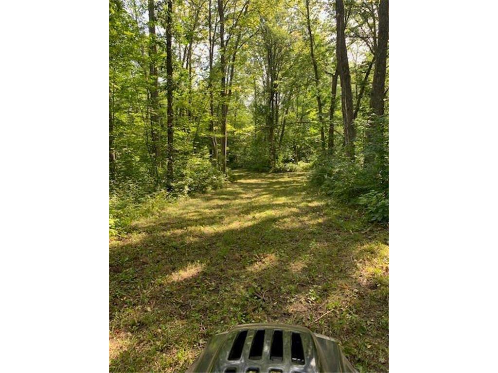 XXX Olander Road Fairfield Twp MN 56447 6418293 image1