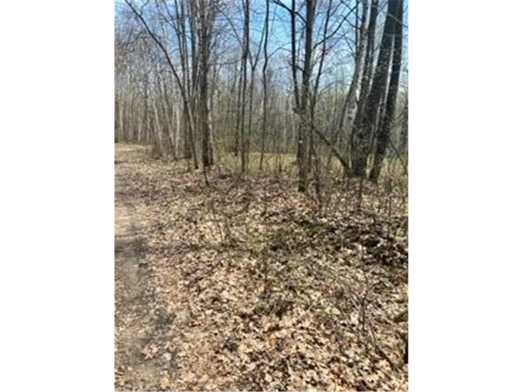 XXX Opal LN Cushing Twp MN 56443 6359613 image1