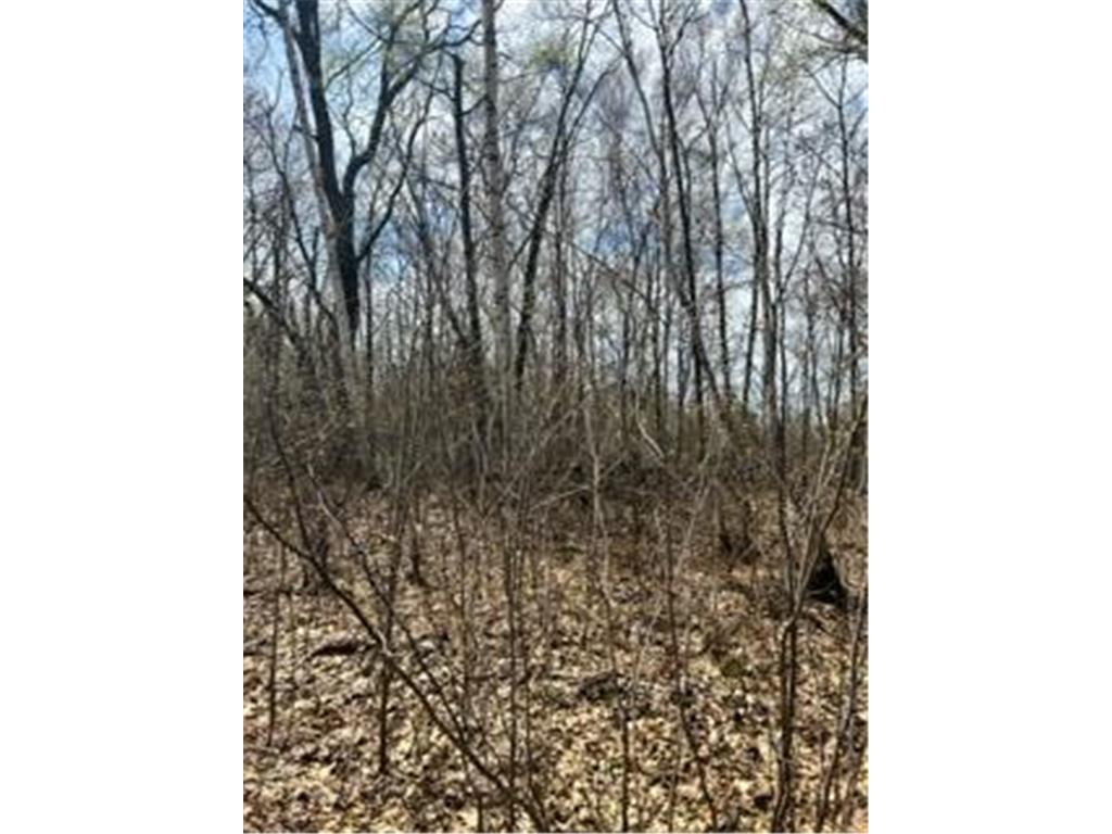 XXX Opal LN Cushing Twp MN 56443 6359639 image1