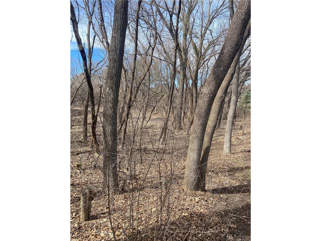XXX Orchard Lane Chanhassen MN 55331 6514014 image1