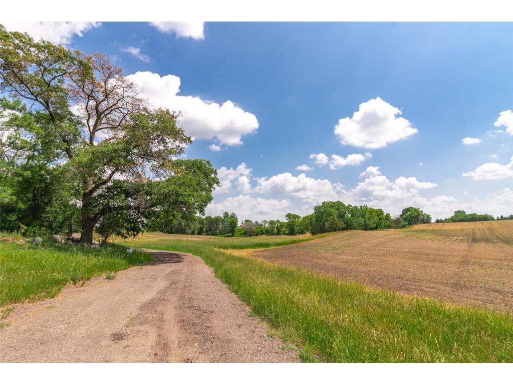 XXX Orwell Road N May Twp MN 55047 6693122 image1