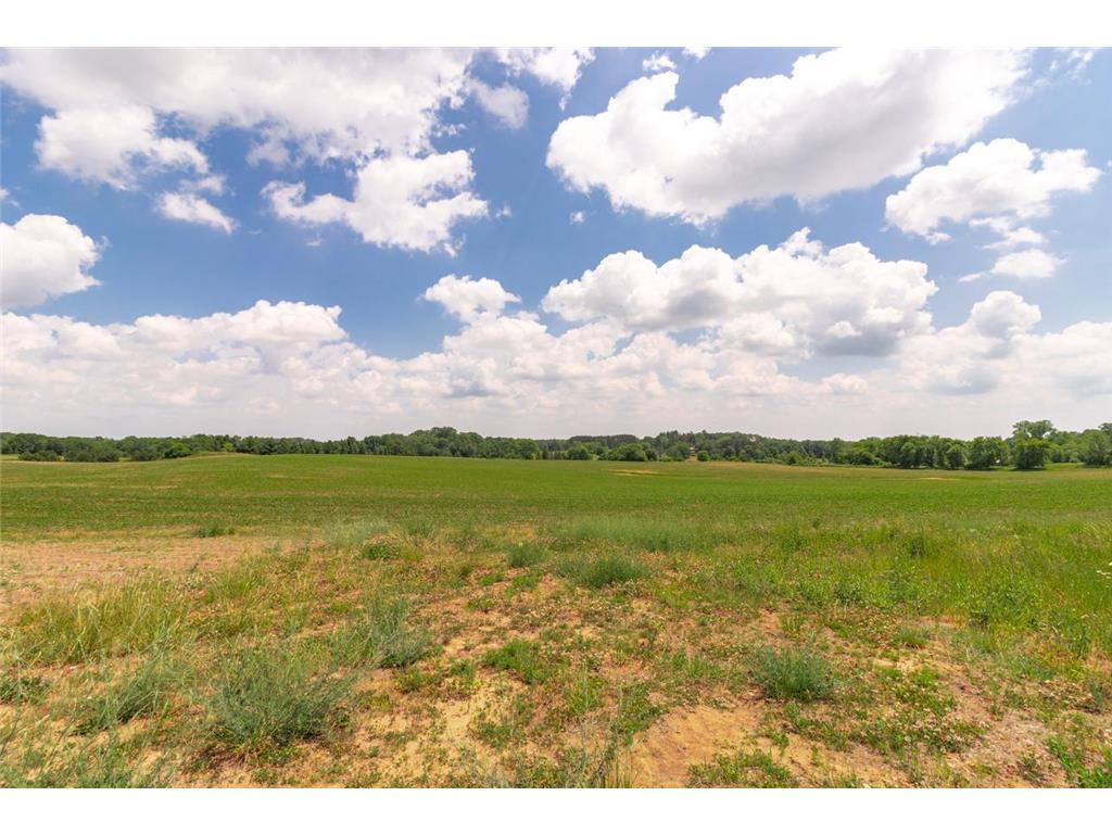 XXX Orwell Road N May Twp MN 55047 6693122 image20