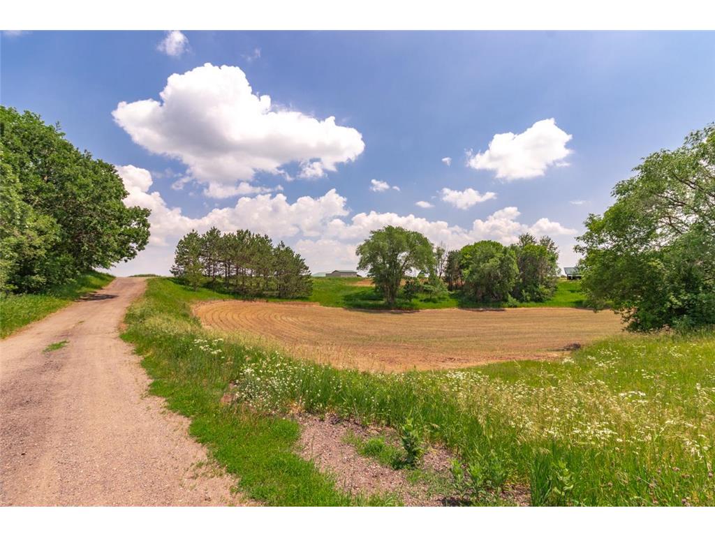 XXX Orwell Road N May Twp MN 55047 6693122 image3