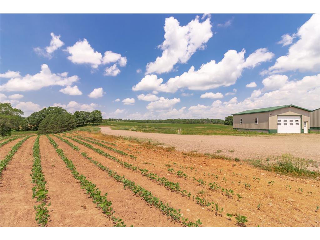 XXX Orwell Road N May Twp MN 55047 6693122 image31