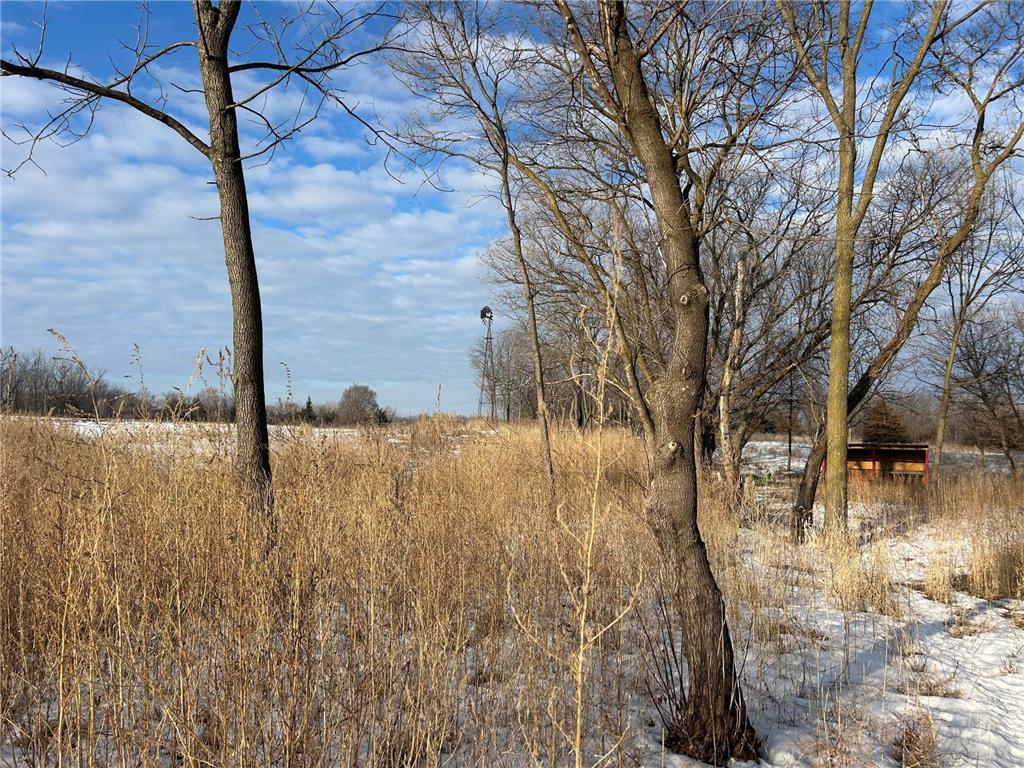 XXX Otero Avenue Ravenna Twp MN 55033 7020061 image8