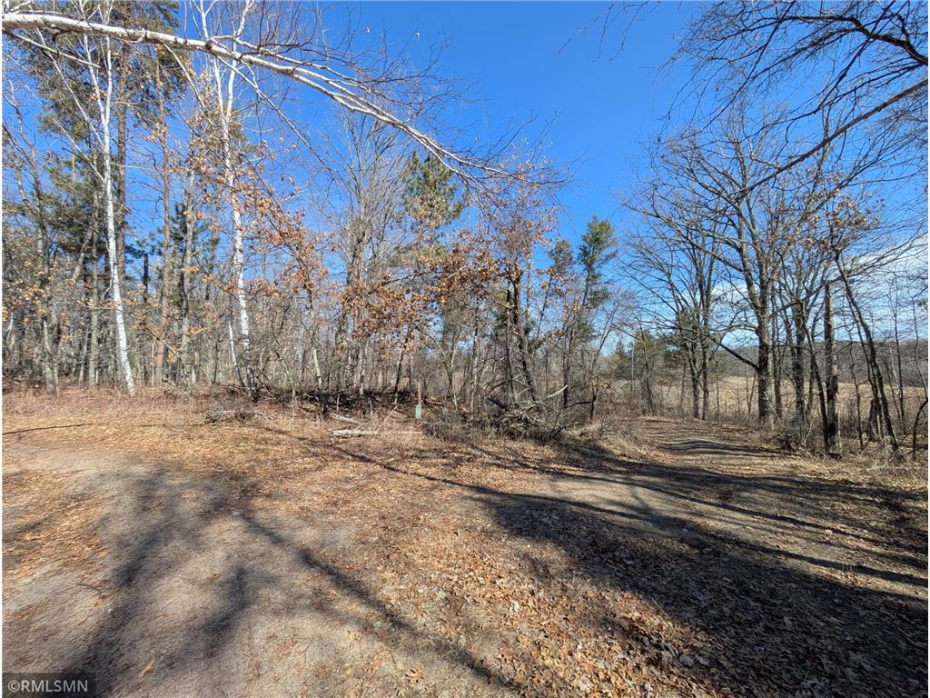 XXX Peony Lane Breezy Point MN 56472 6699160 image1