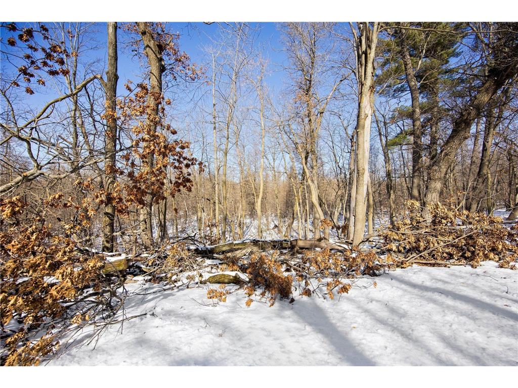 XXX Pigeon Loft Road NE Stacy MN 55079 - Twin Lake 6676651 image19