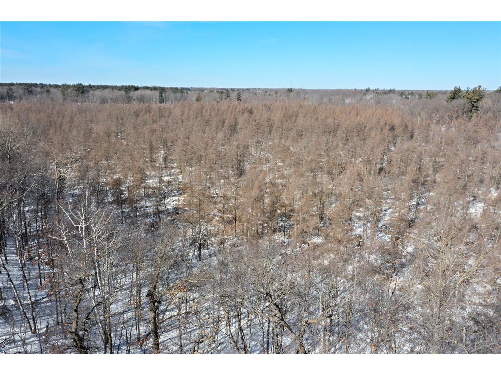 XXX Pigeon Loft Road NE Stacy MN 55079 - Twin Lake 6676651 image6