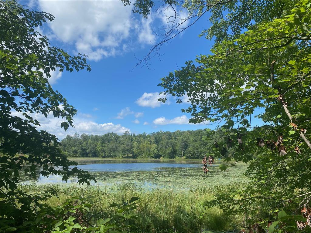 XXX Pot O Gold Road Oakland WI 54830 6415891 image1