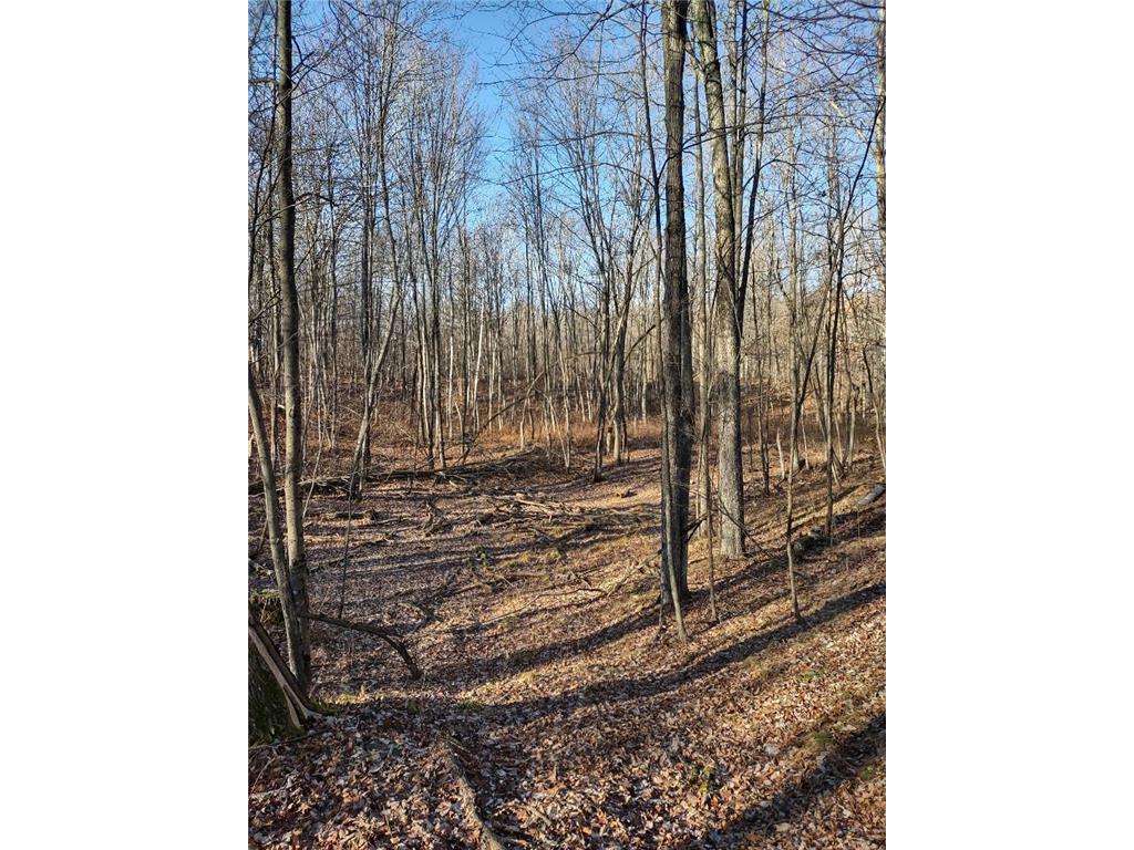 XXX Pretty Road Springbrook WI 54875 6471211 image1