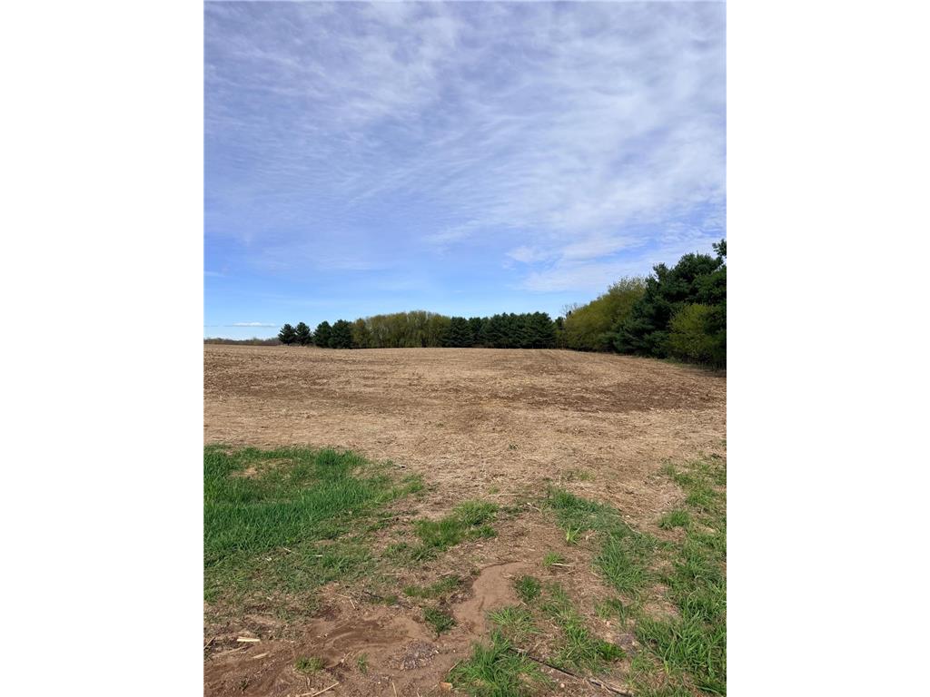 XXX Quinlan Avenue Amador Twp MN 55012 7063286 image1
