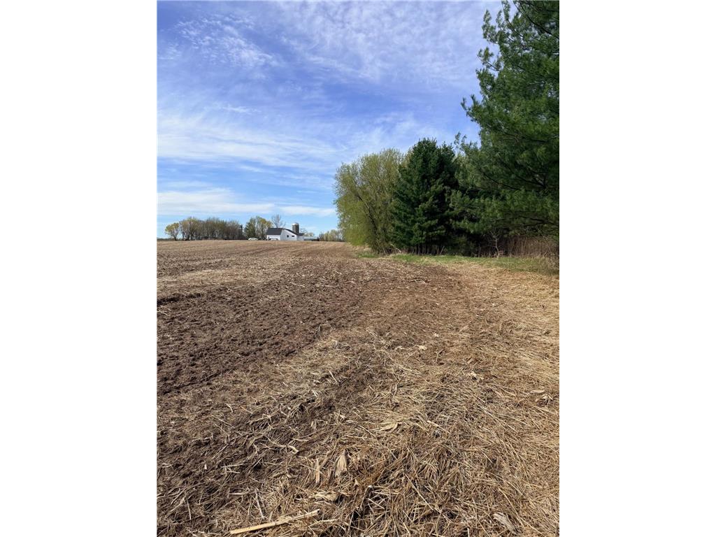 XXX Quinlan Avenue Amador Twp MN 55012 7063286 image2