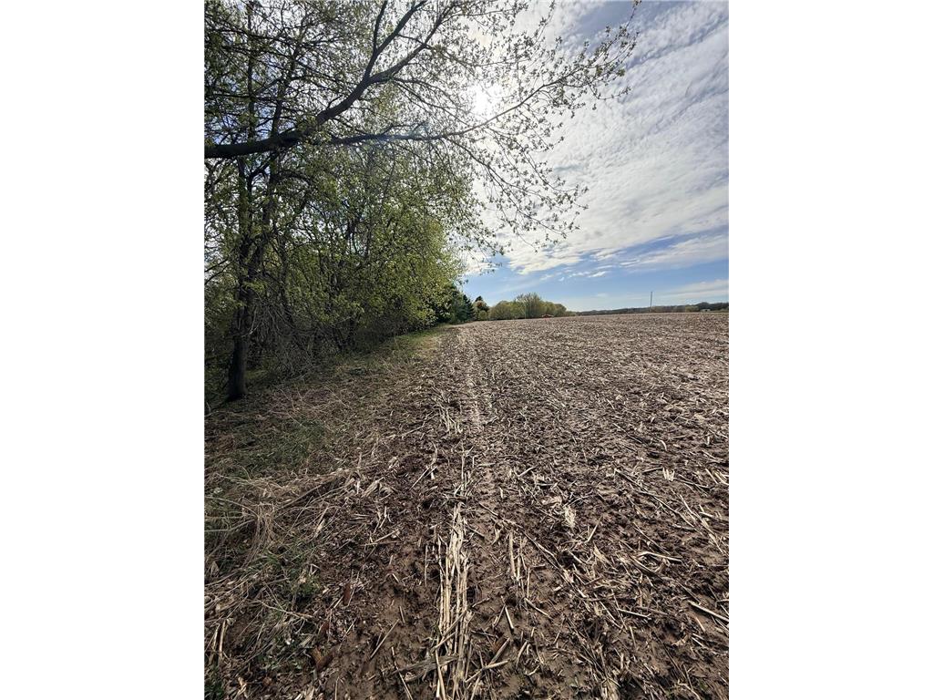 XXX Quinlan Avenue Amador Twp MN 55012 7063286 image3