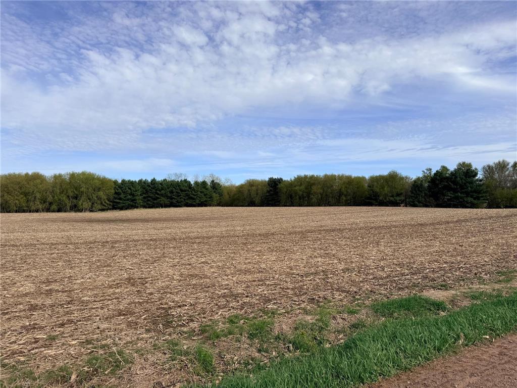 XXX Quinlan Avenue Amador Twp MN 55012 7063286 image4