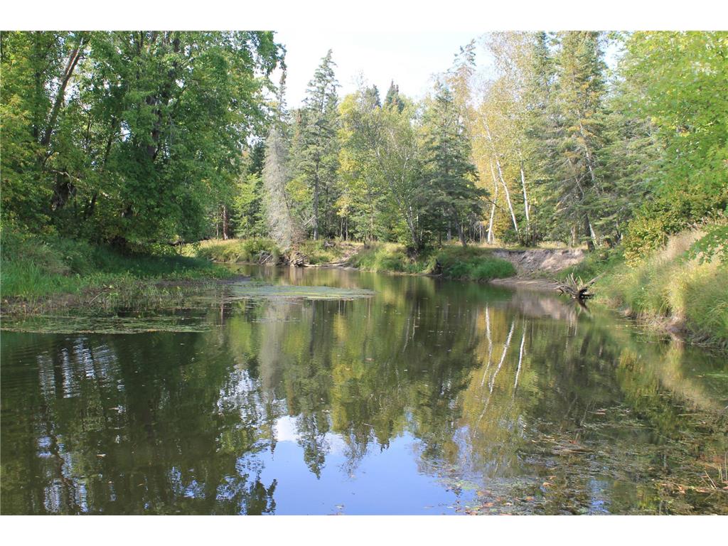 XXX Quiring Rd Blackduck MN 56630 - Blackduck River 6604044 image1