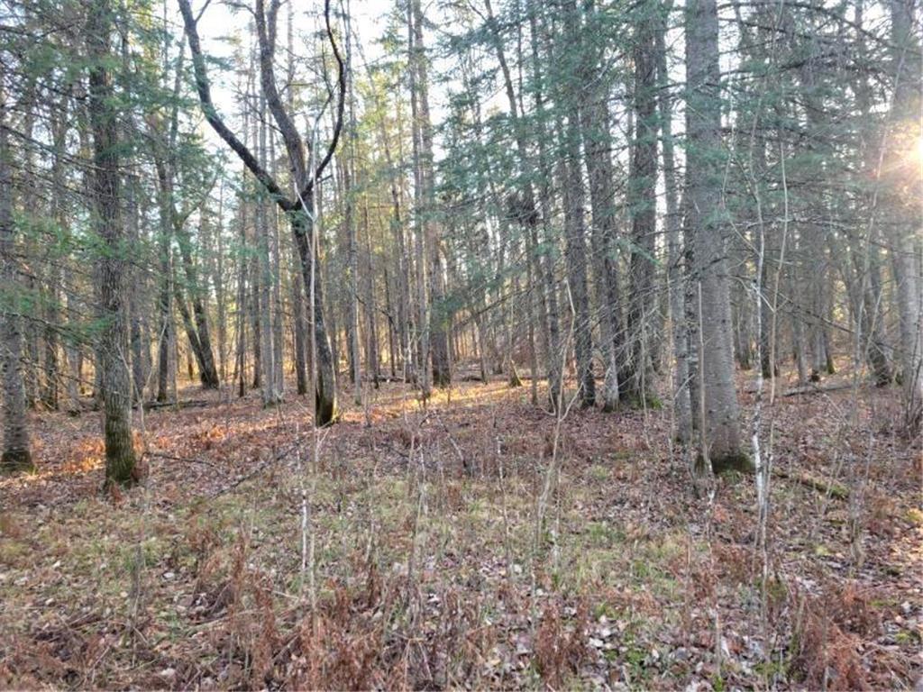 XXX Rapid River Baudette MN 56623 6819447 image4