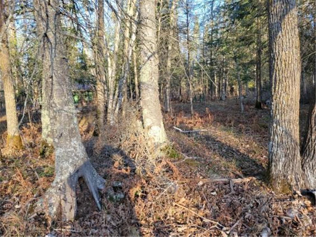 XXX Rapid River Baudette MN 56623 6819447 image5