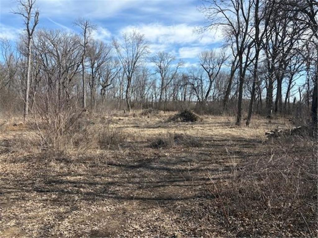 XXX Raven Avenue Hutchinson MN 55350 6691132 image1