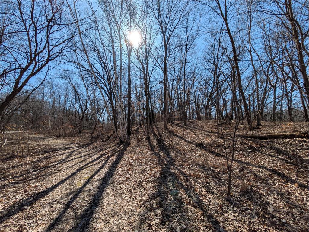 XXX Red Fox Trail Saint Croix Falls WI 54024 6688234 image1