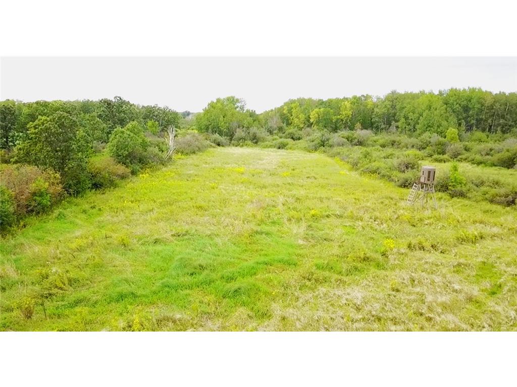 XXX Red Road Lewis Twp MN 56342 6594625 image1