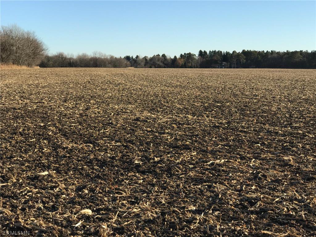 XXX Red Wing Boulevard Marshan Twp MN 55033 5688968 image3