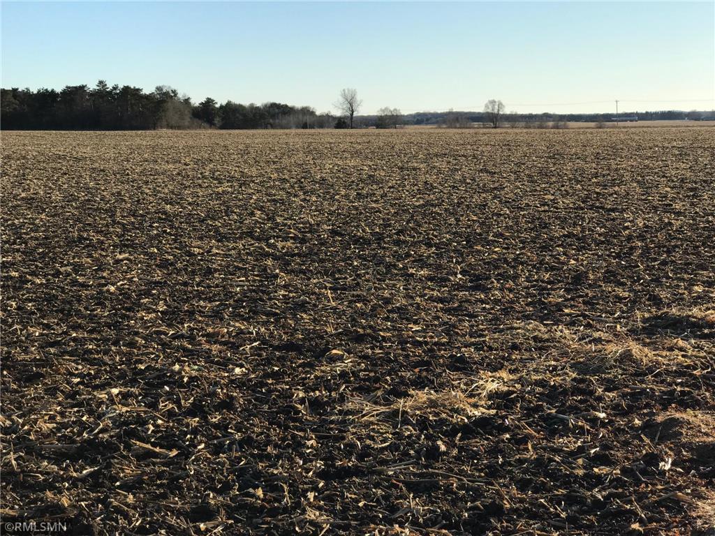 XXX Red Wing Boulevard Marshan Twp MN 55033 5688968 image4