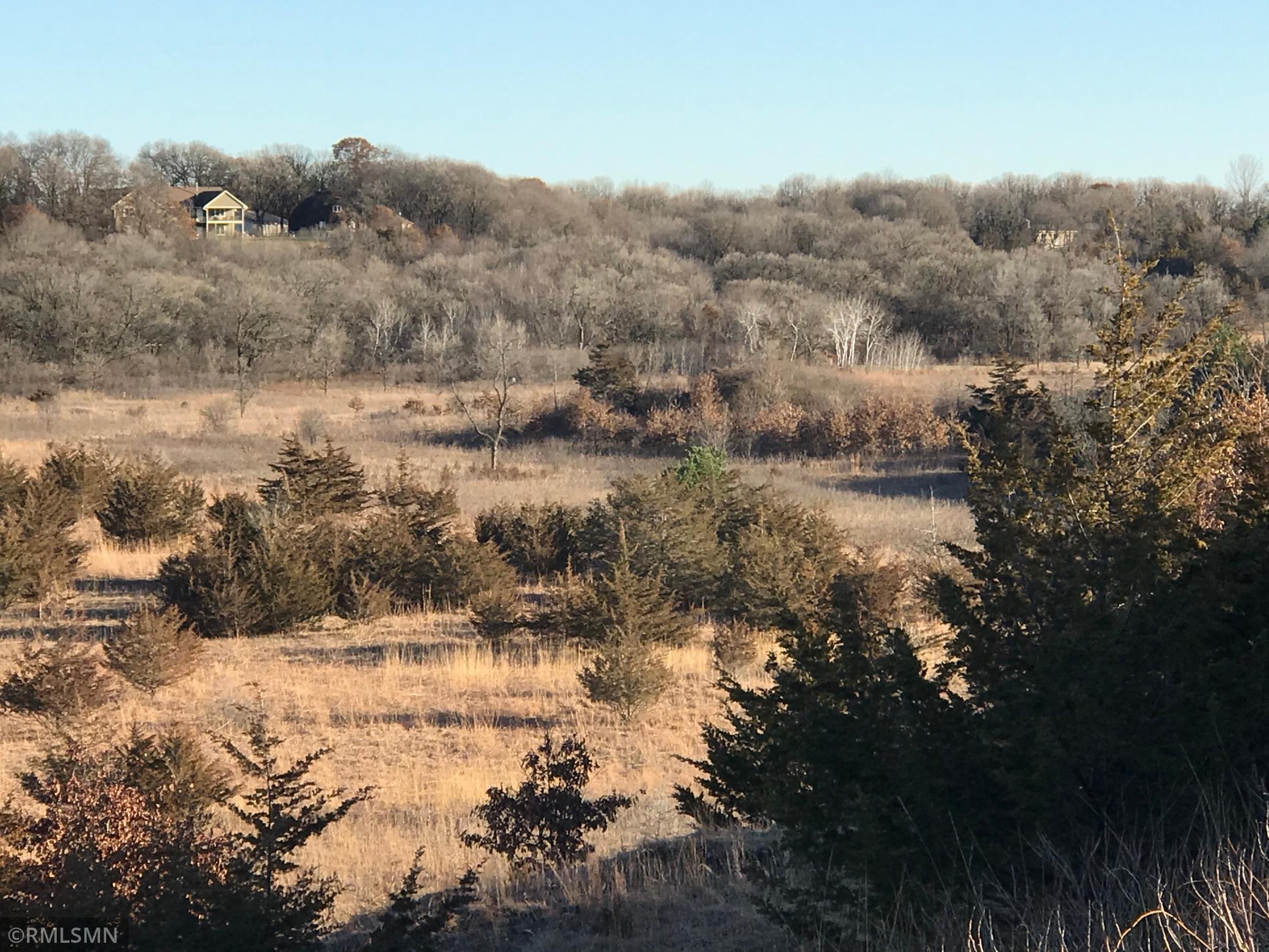 XXX Red Wing Boulevard Marshan Twp MN 55033 5688968 image6