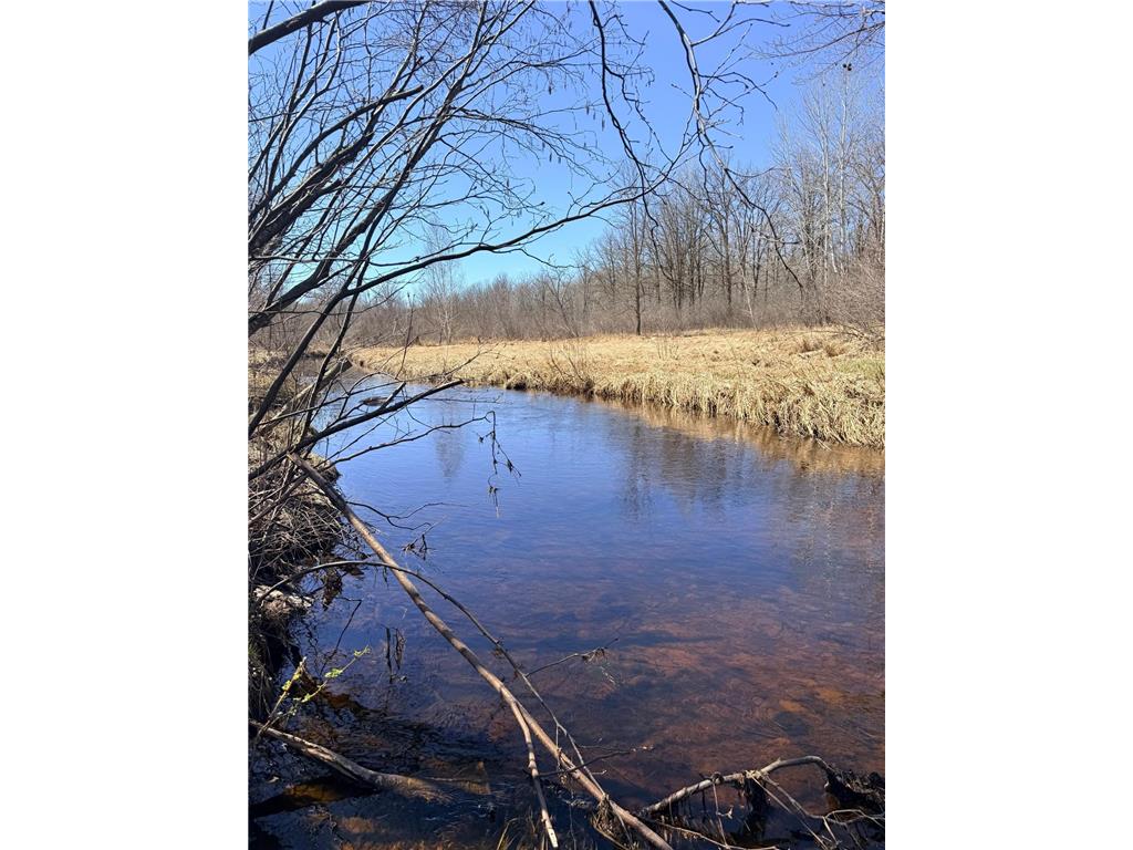 XXX Rice Road Brook Park Twp MN 55007 7049691 image14