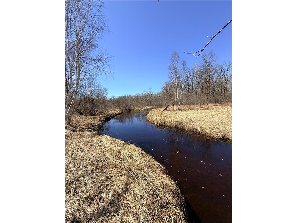 XXX Rice Road Brook Park Twp MN 55007 7049691 image15