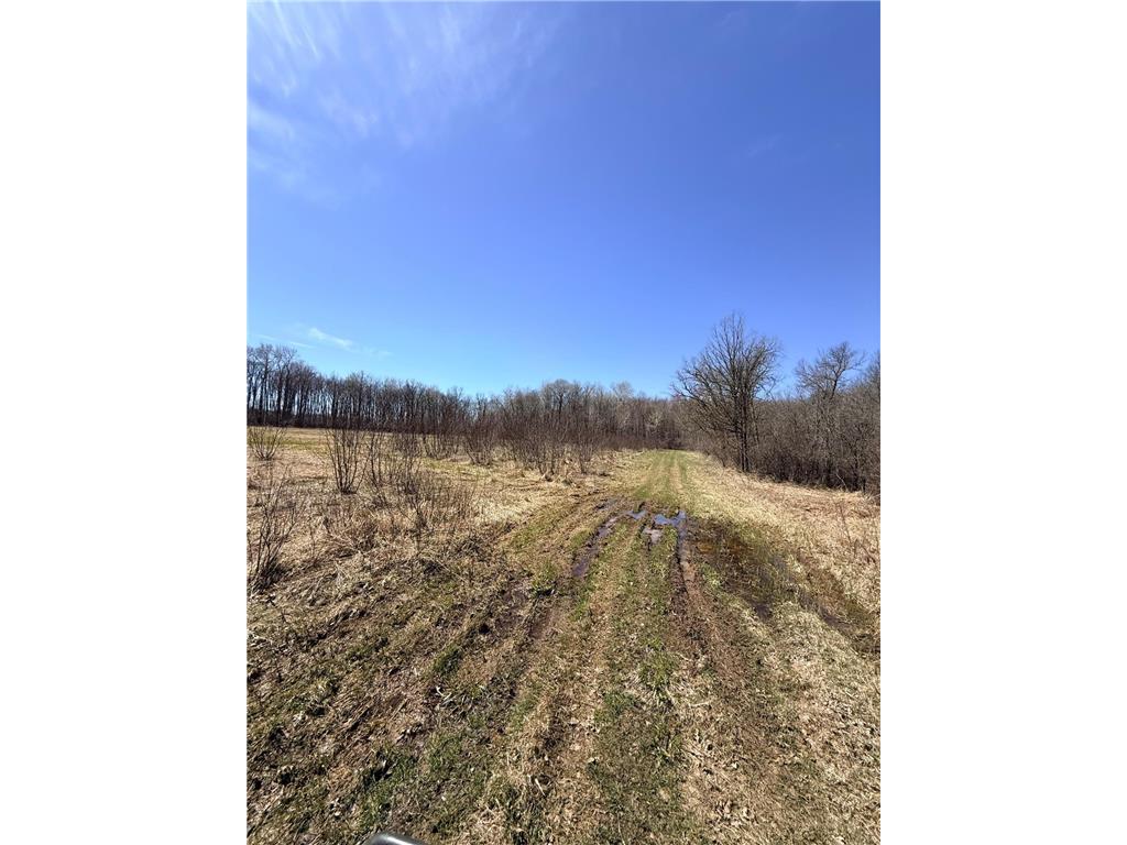 XXX Rice Road Brook Park Twp MN 55007 7049691 image16