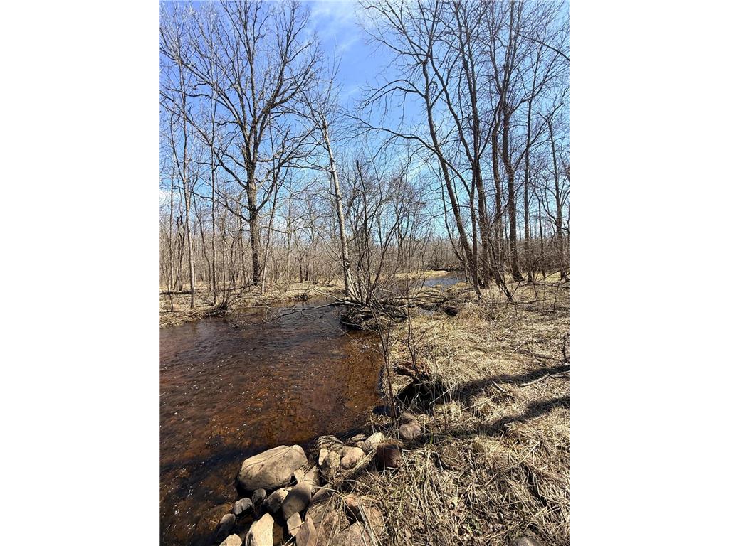 XXX Rice Road Brook Park Twp MN 55007 7049691 image18