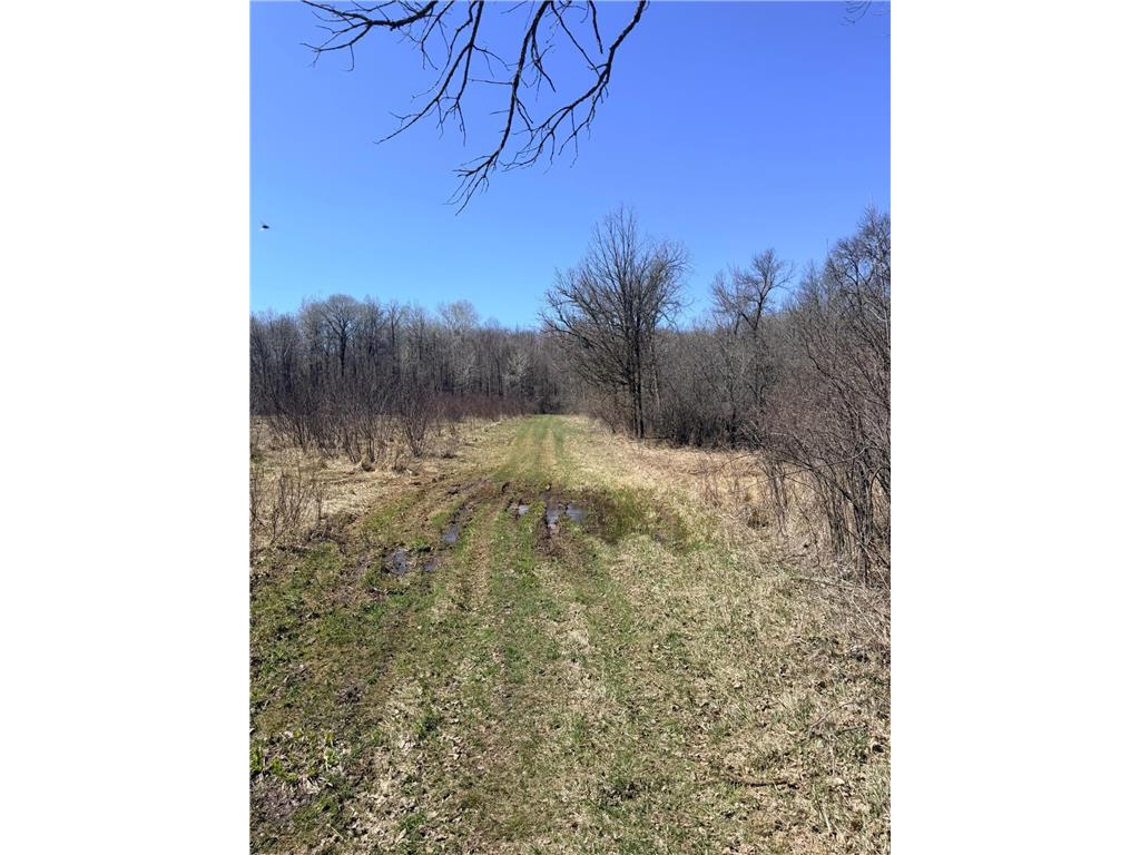 XXX Rice Road Brook Park Twp MN 55007 7049691 image20