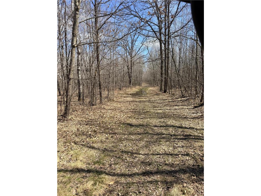 XXX Rice Road Brook Park Twp MN 55007 7049691 image21