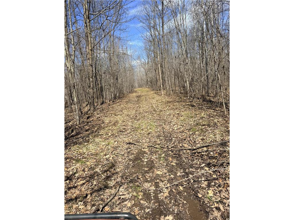 XXX Rice Road Brook Park Twp MN 55007 7049691 image22