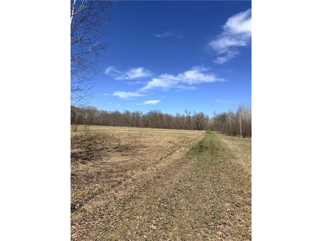 XXX Rice Road Brook Park Twp MN 55007 7049691 image27