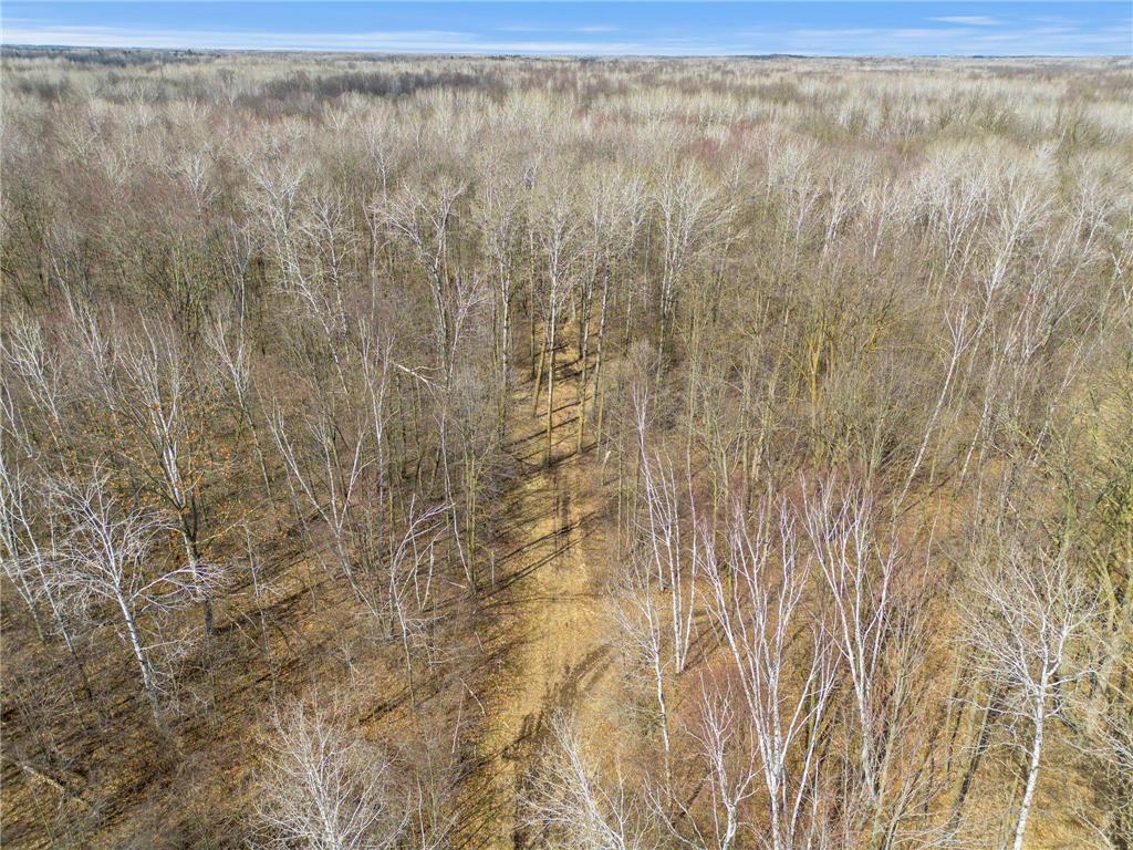 XXX Rice Road Brook Park Twp MN 55007 7049691 image6