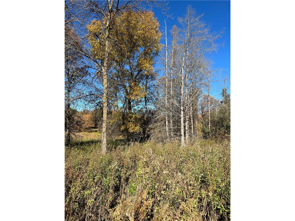 XXX Riverbend Drive Warroad MN 56763 - Warroad River - West Branch 7059924 image11