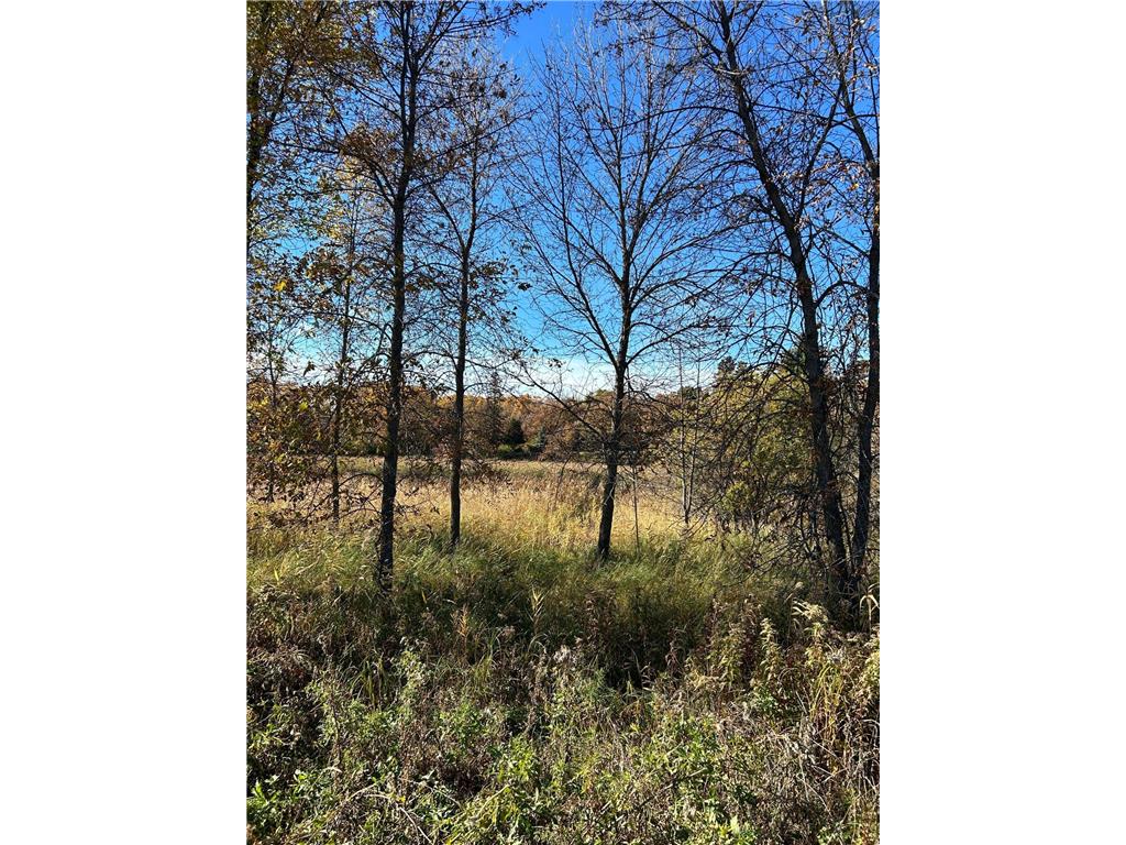 XXX Riverbend Drive Warroad MN 56763 - Warroad River - West Branch 7059924 image9