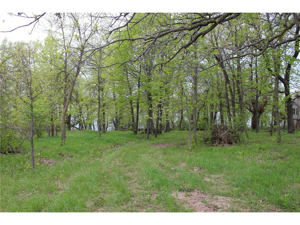 XXX S. Maple Lake Road SW, Alexandria, MN, 56308 MLS 6201671 Edina