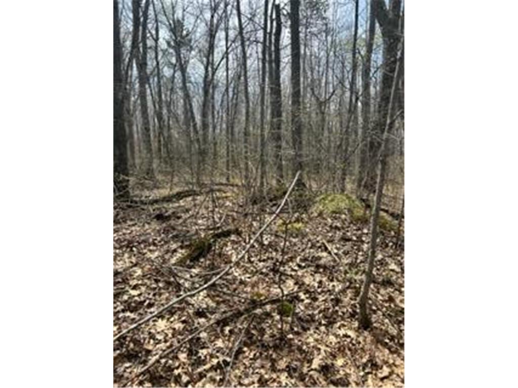 XXX Sapphire Lane Cushing MN 56443 6365592 image1