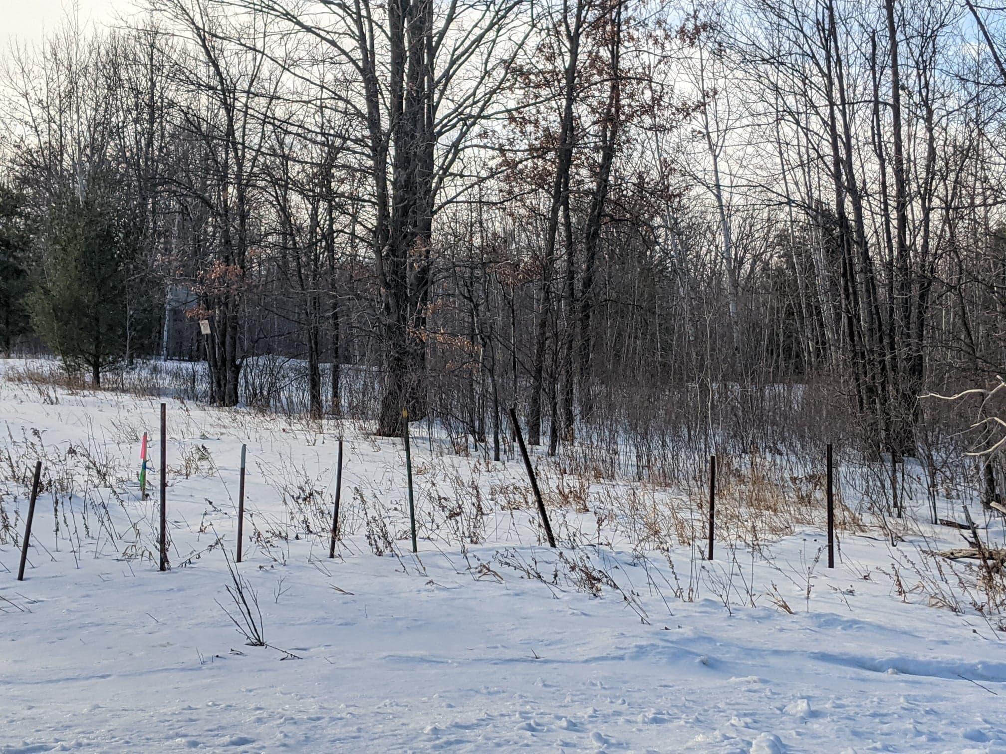 XXX Sherwood Street, Grasston, MN, 55030 MLS 6156132 Edina Realty