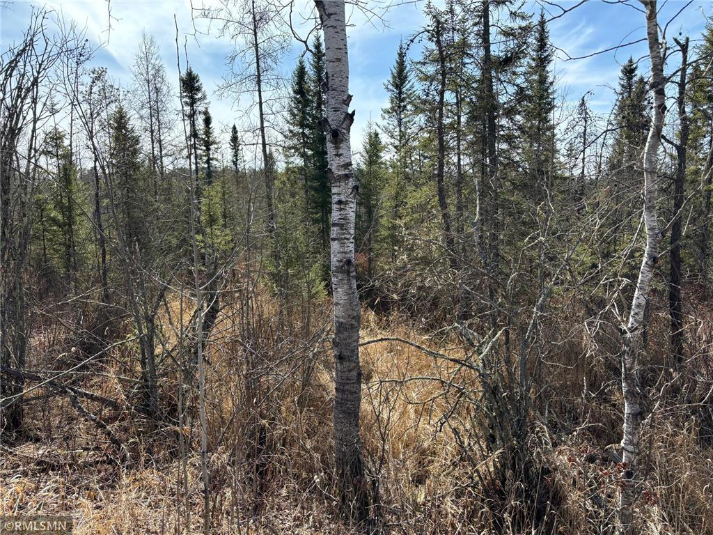 XXX Soo Line Trail Mcgregor MN 55760 6504658 image1