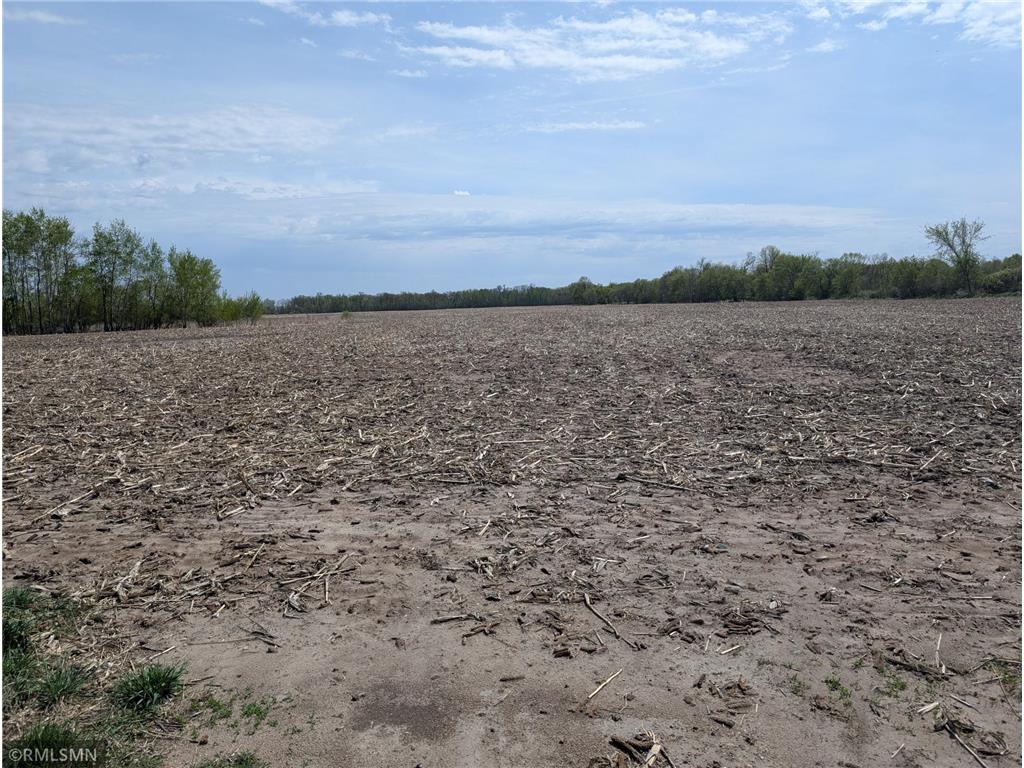 XXX State 27 Long Prairie MN 56347 6731503 image1